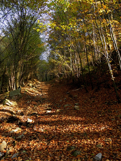 cestička do ticha