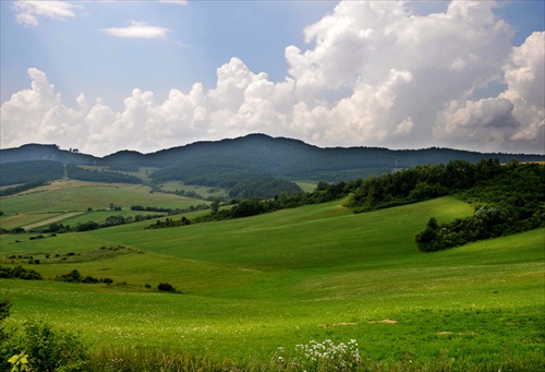 Za Litmanovou