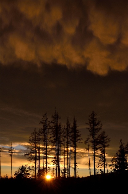 Vysoké Tatry