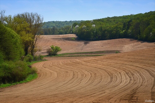 Jarné polia.