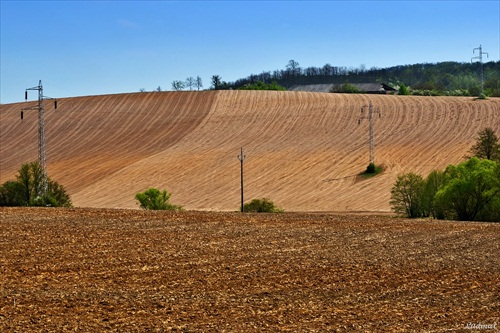 Jarné polia.