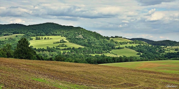 Jarné polia na Gemeri