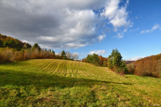 Jesenná lúka