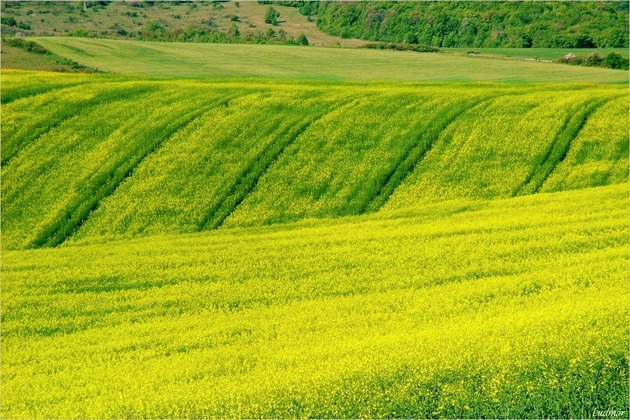 Jarné polia.