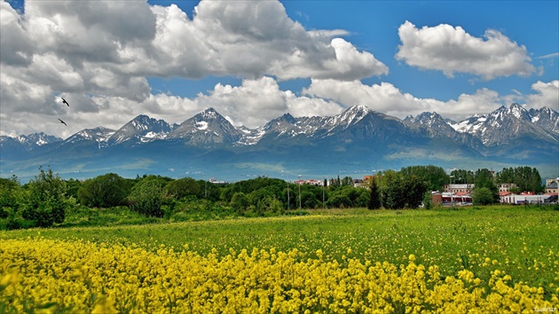 Krajina pod Tatrami.