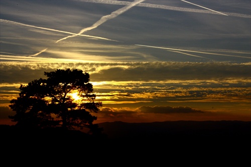 safari sunset :)