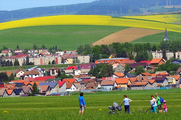 a nedeľu zarámuje žltá repka ...