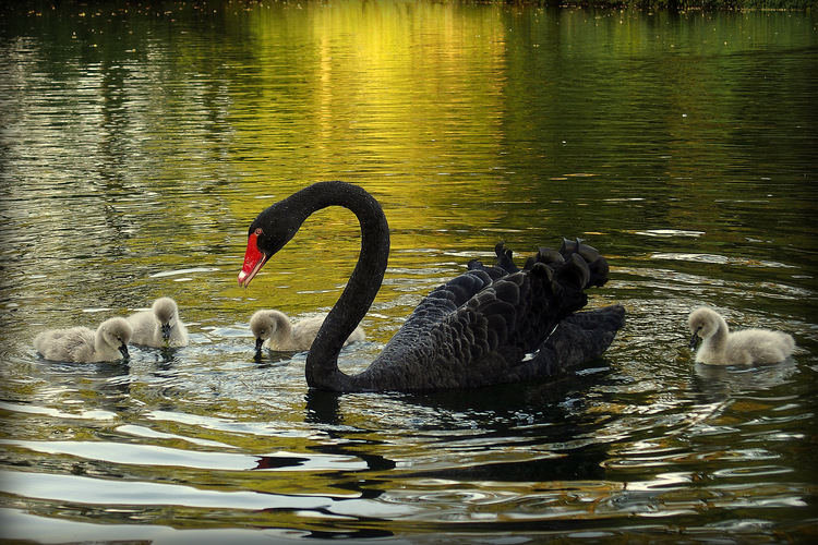 a mama sa postará  a svoje deti ...