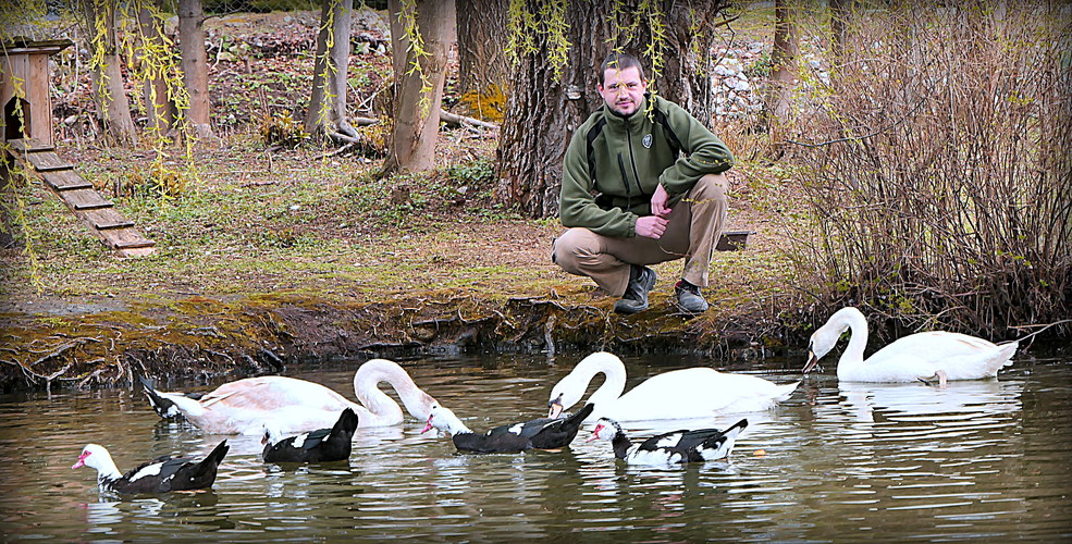 a plávajúcich obyvateľov ZOO treba aj prikrmovať ...