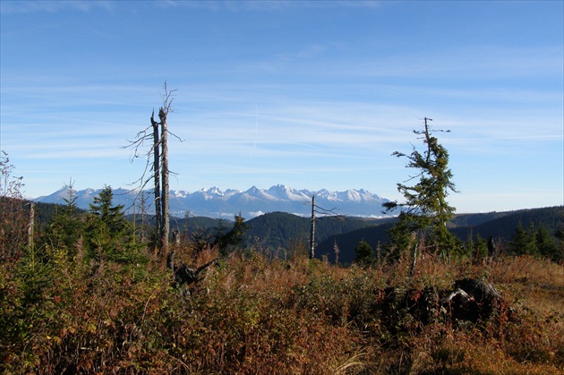 Pohľad na Vysoké Tatry