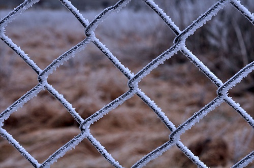 Winter fence