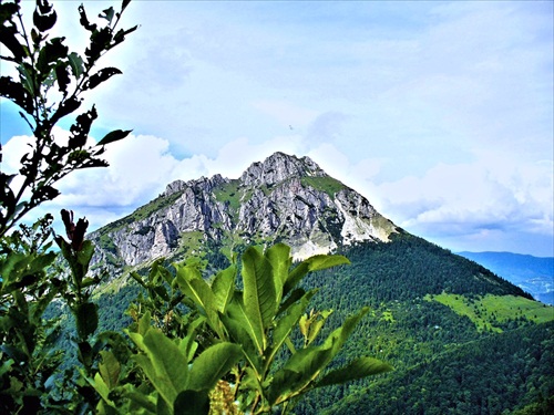 Veľký Rozsutec