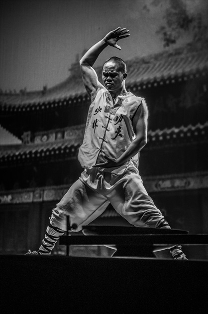 Shaolin Kung-fu Master