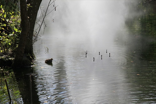 Idylka odpočinku