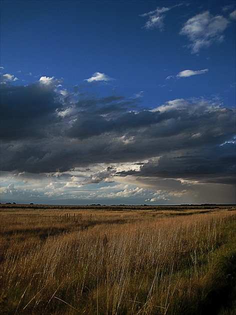 Podvečer