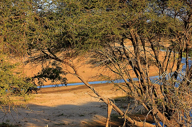 Letaba river