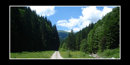 Krizna, Velka Fatra