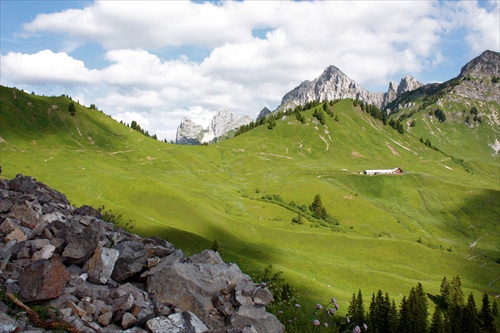 Nord Tirol/Lechaschauer Alm/