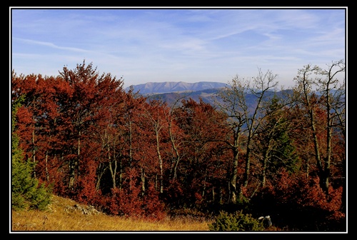 Prasiva /Nizke Tatry/