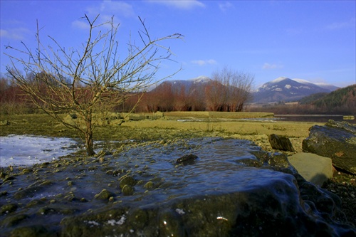 Zamrznuta Skala