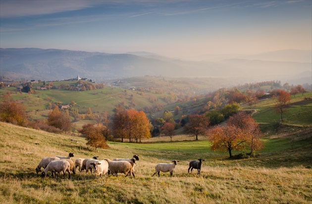 Podpoľanie