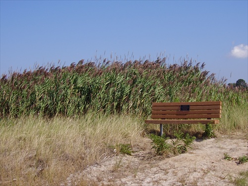 Lavička na Cape Cod