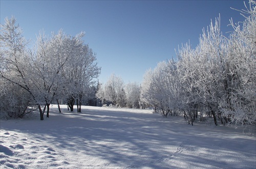 Predvianočná zima.