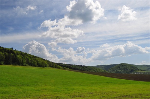 Scenéria mrakov