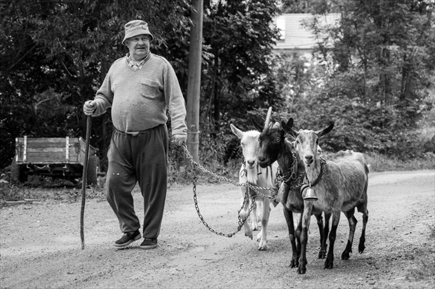 Taľafatky