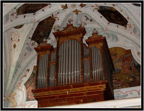 Organ