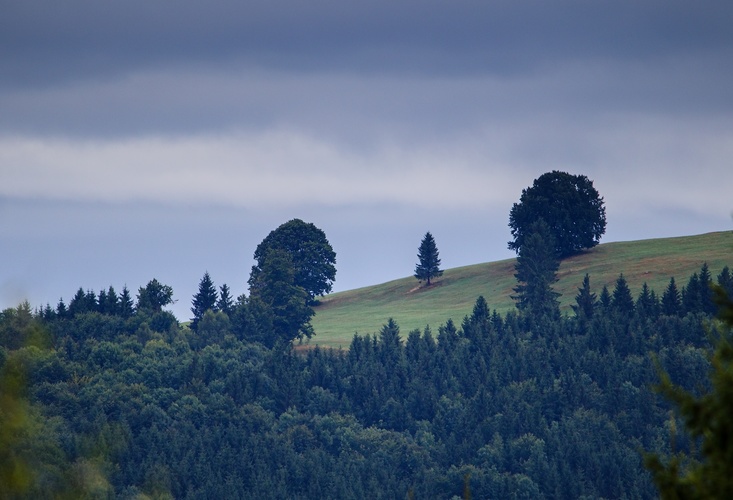 Zadná   Poľana      