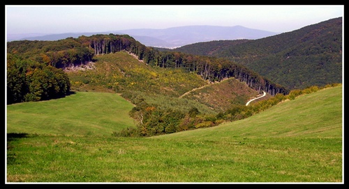 Bez názvu