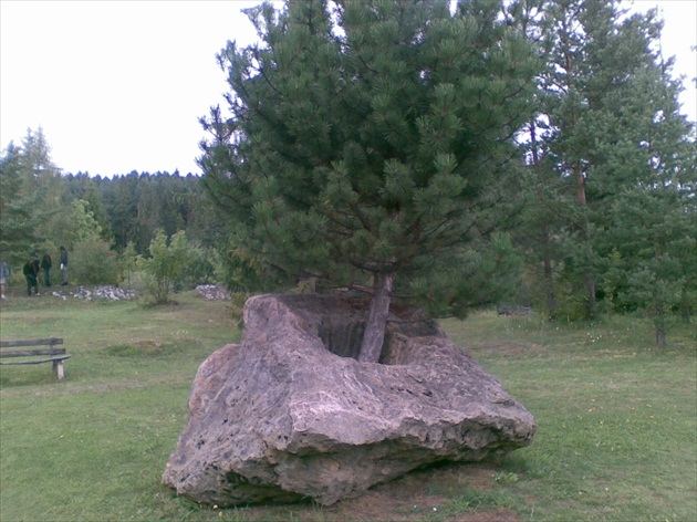 V kamennom zajatí - Vyšné Ružbachy