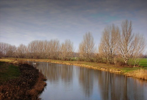 Decembrová