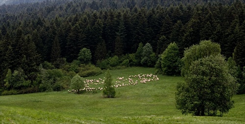 Keď sa napasieme, tak utečieme.