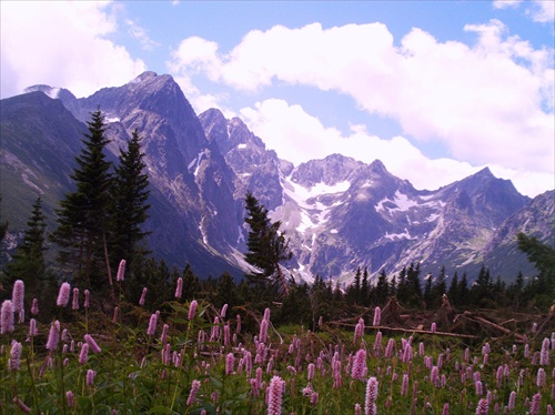 Tatry