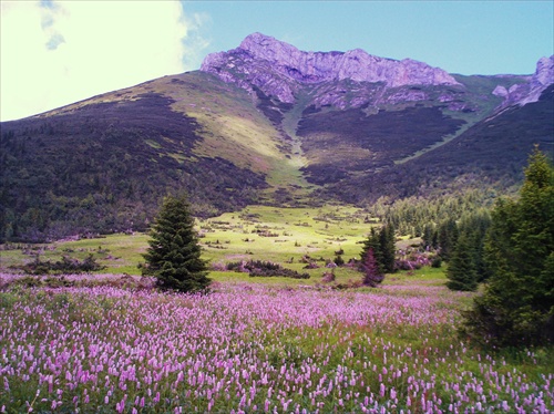 Tatry