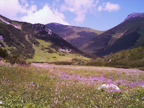 Tatry