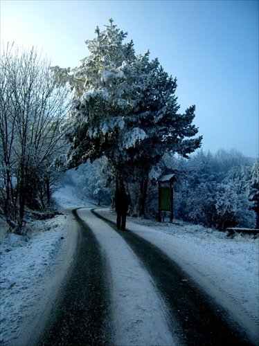 Cesta na Malino