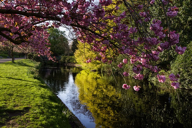 Sefton Park