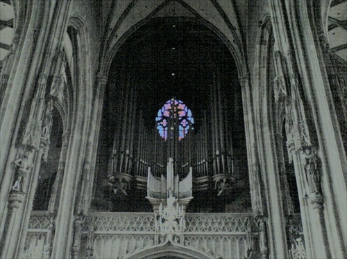 Organ