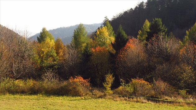 Nad Lačnovom.