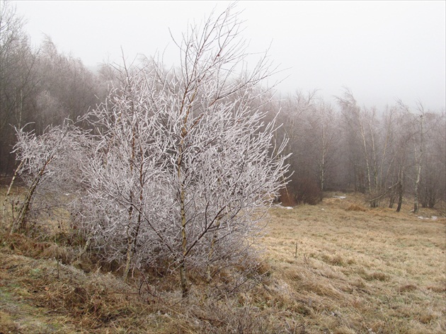 Zlatá Baňa.