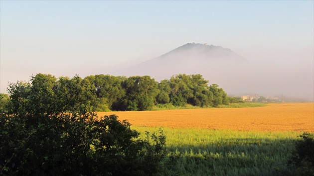 Šariš hrad