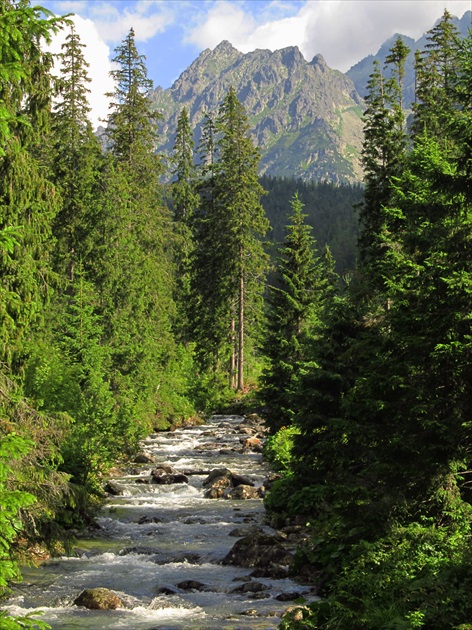 Popradské Pleso