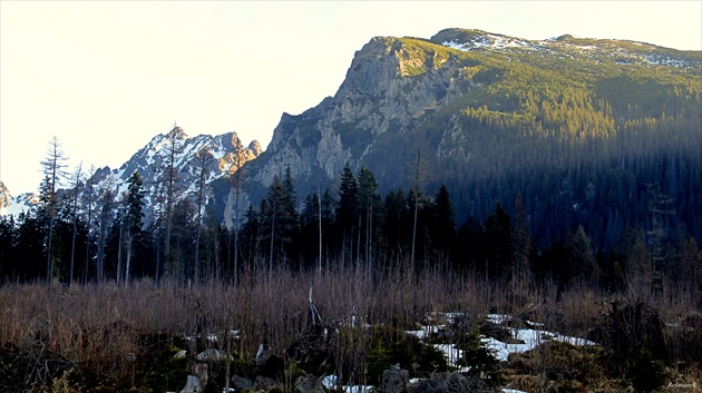 Tatry