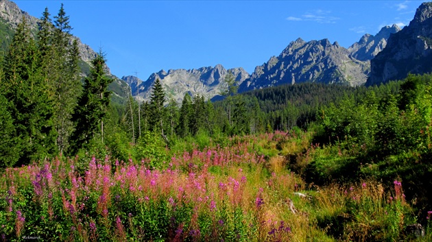 Popradské pleso