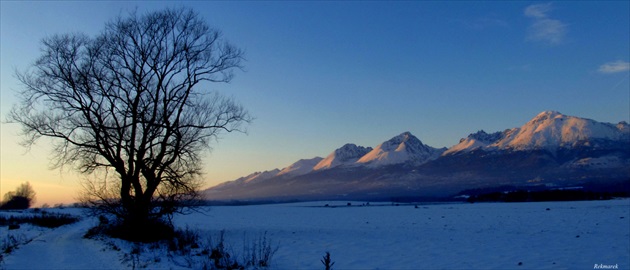 Tatry a strom