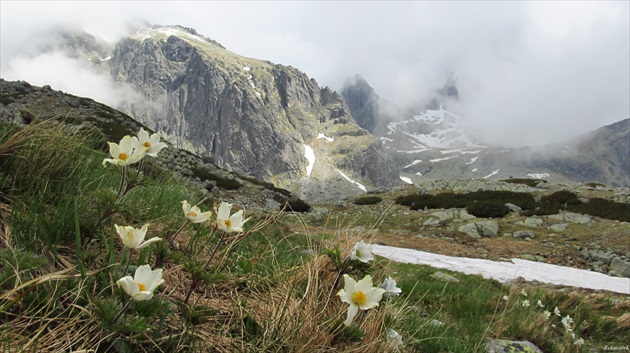 Tatry