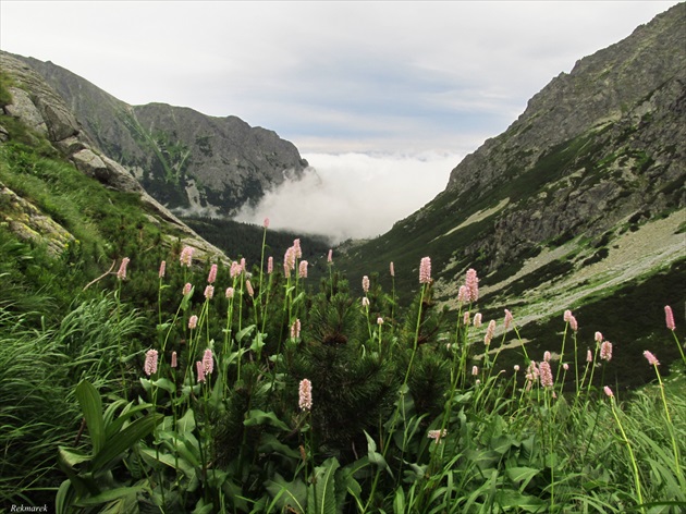 Tatry